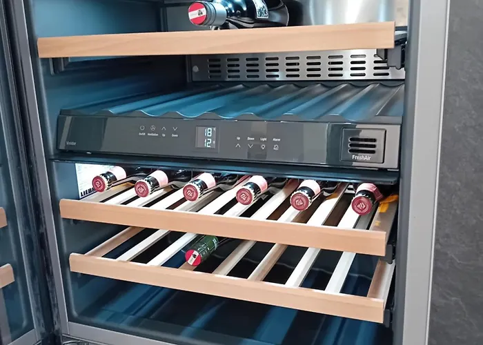 12er Appartamento Bürserberg